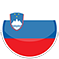 Slovenia flag
